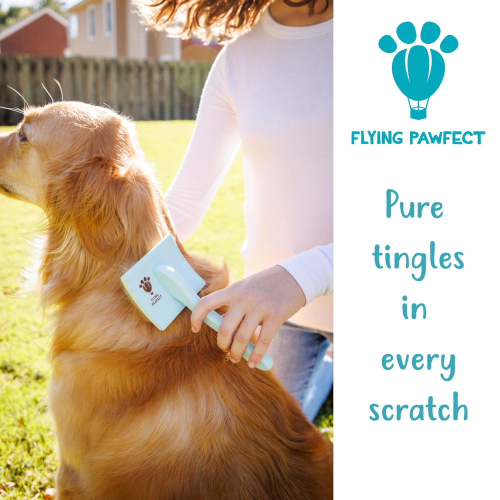 Flying Pawfect slicker brush pins are easy to clean after grooming sessions.