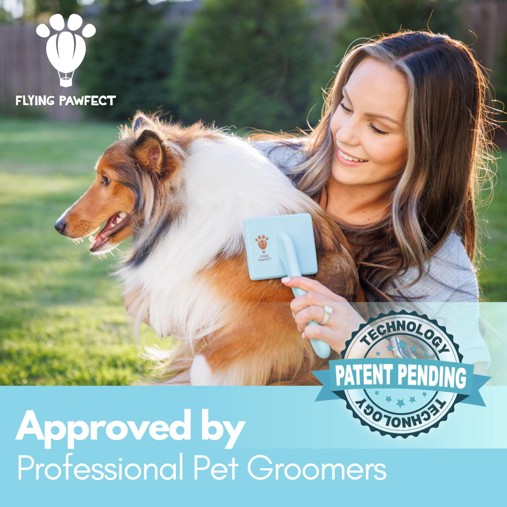 Flying Pawfect soft stainless steel pins glide gently to lift loose hair