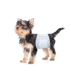 Flying Paws belly bands for small dogs shown for comfortable leak protection.