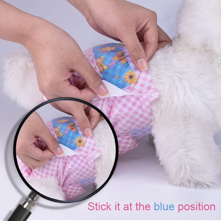 Flying Paws packaging options show convenient single or multi-pack diapers for busy homes.