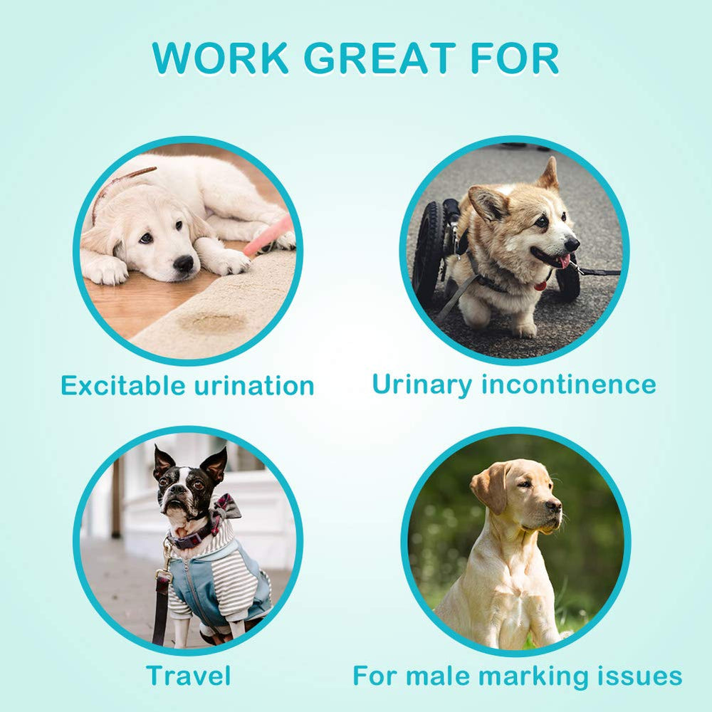 Flying Paws travel-friendly dog diapers ideal for trips.