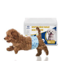 Flying Paws male dog diapers with wetness indicator shows when to change
