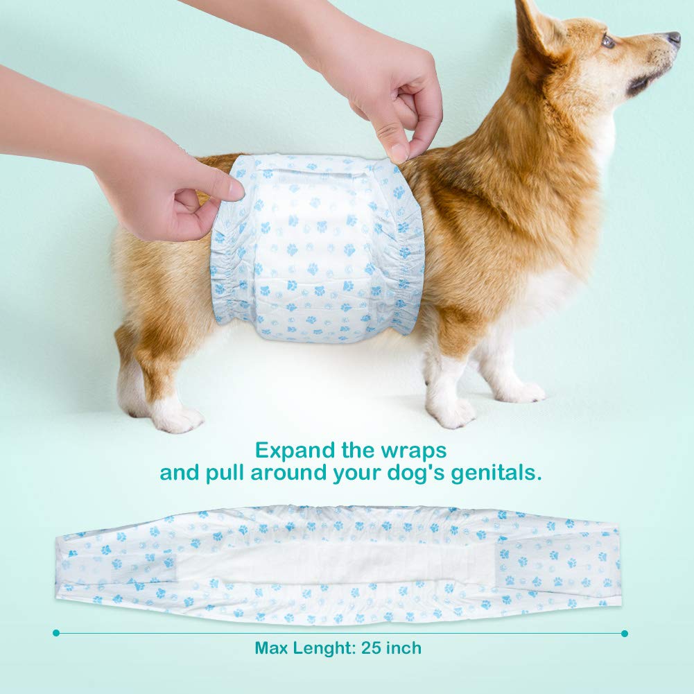 Flying Paws absorbent-core construction helps contain moisture during activity
