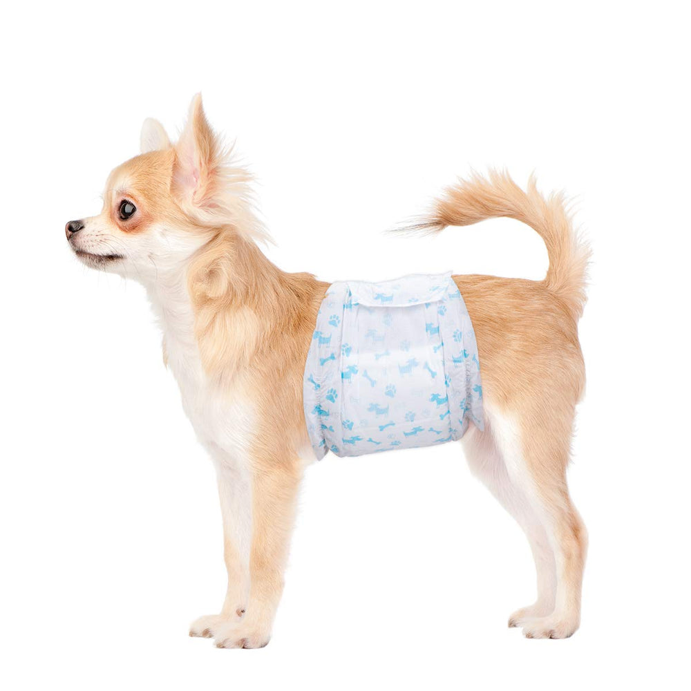 Flying Paws 44-count package front view for reliable daily protection