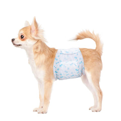 Flying Paws 44-count package front view for reliable daily protection