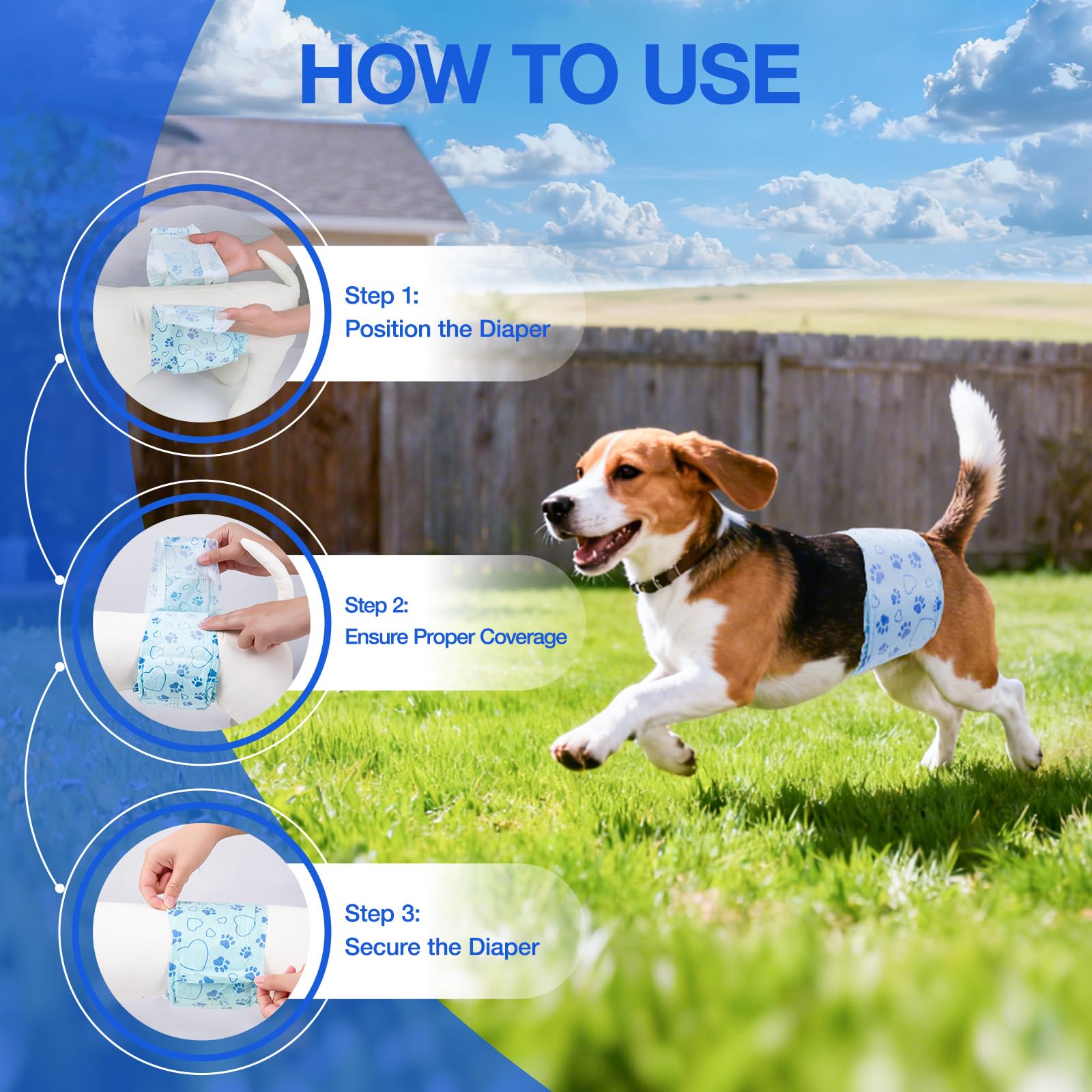 Flying Paws moisture-absorbing core keeps urine contained and dry