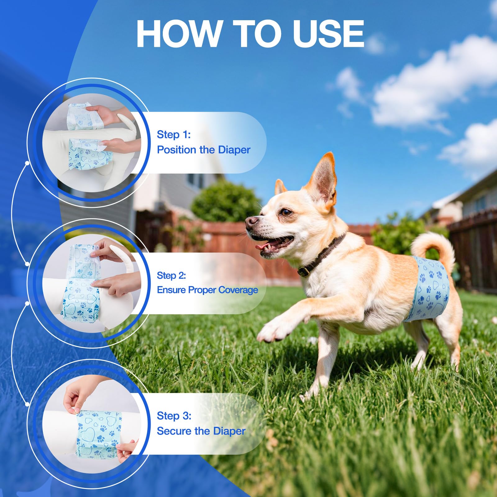 Flying Paws disposable belly band ideal for puppy training sessions