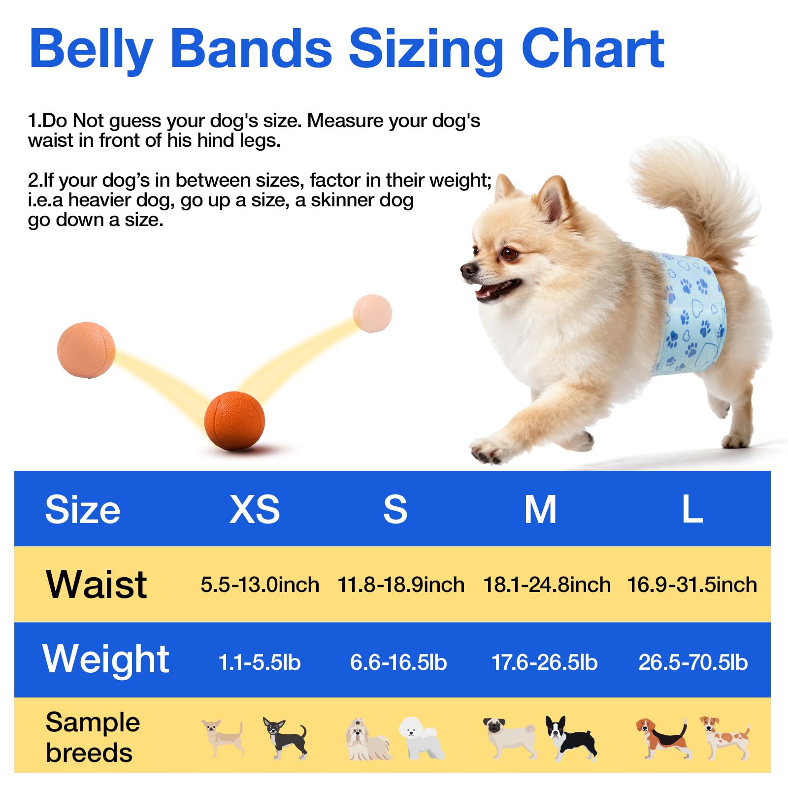 Flying Paws puppy training wrap enables mess-free practice at home