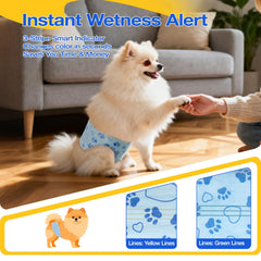Flying Paws diaper with wetness indicator shows color change for monitoring