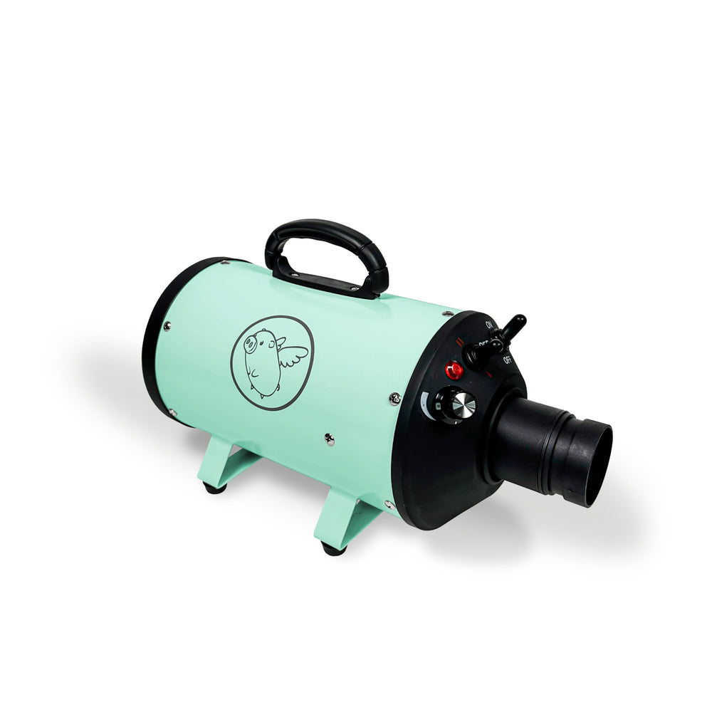 Flying Pig dryer with round nozzle, gentle styling for sensitive pets.