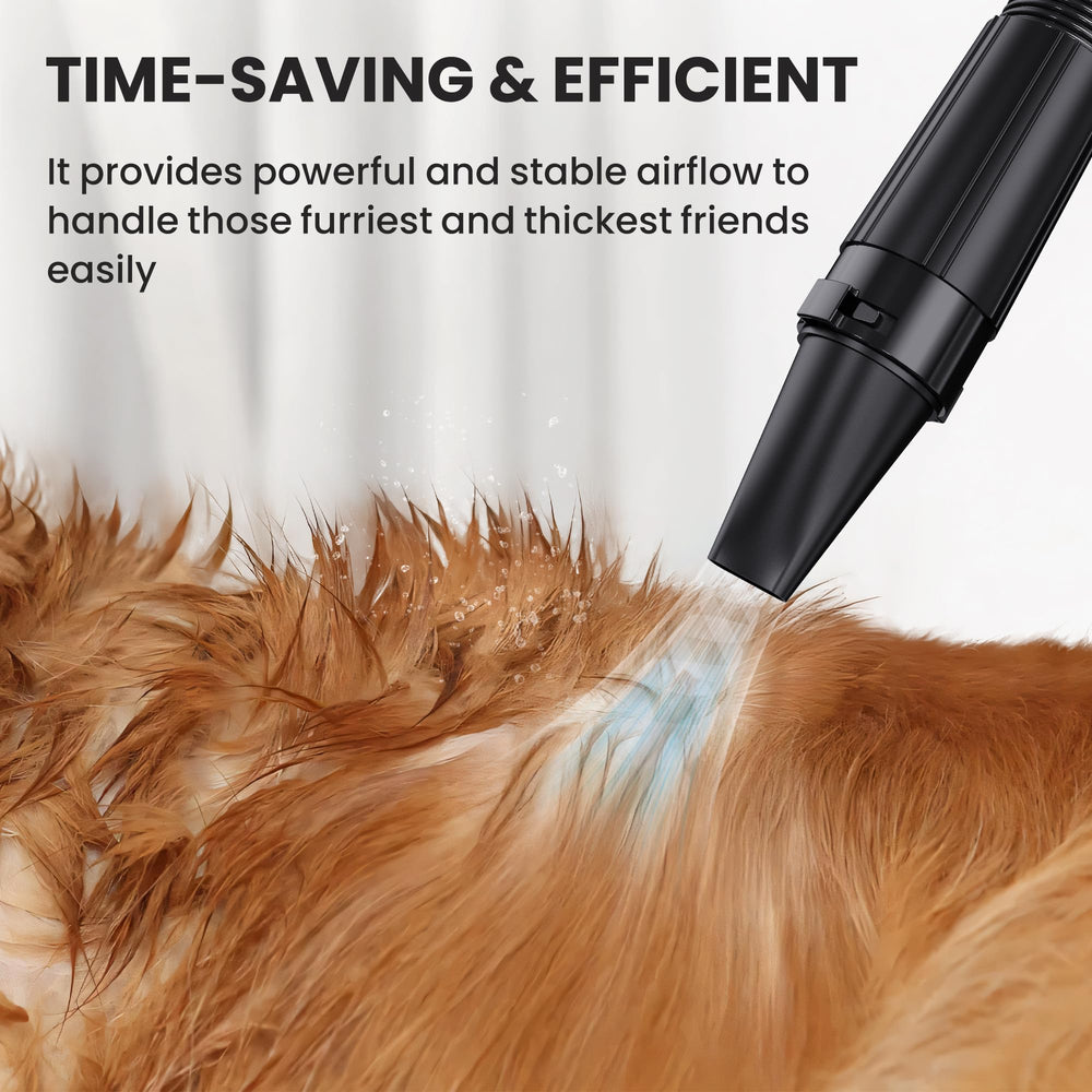 Flying Pig 10 ft hose and attachments support versatile grooming options
