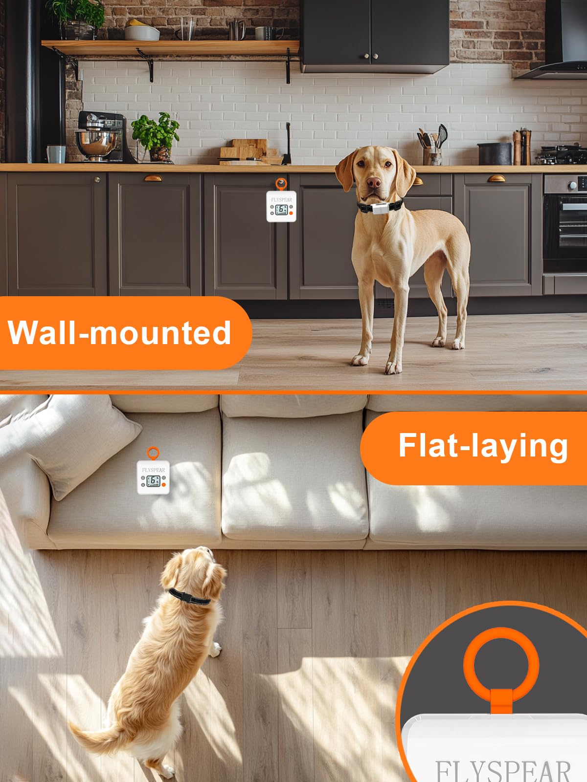 FLYSPEAR adjustable collar fits dogs from 6 to 23.6 inches