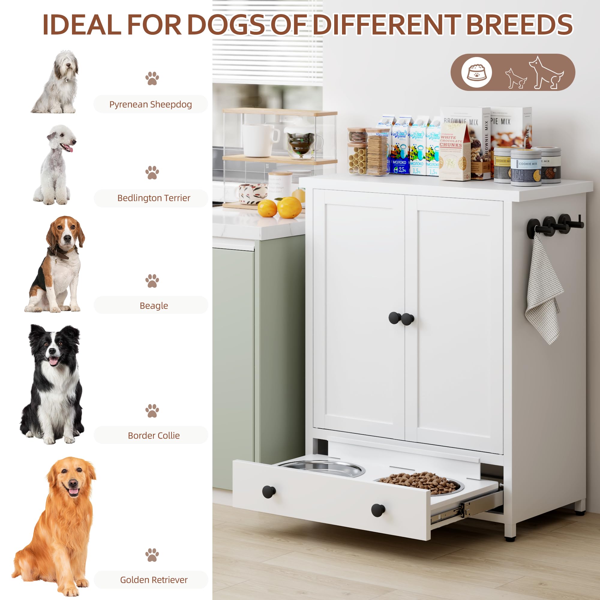 Fmlud feeding station top surface holds treats within reach