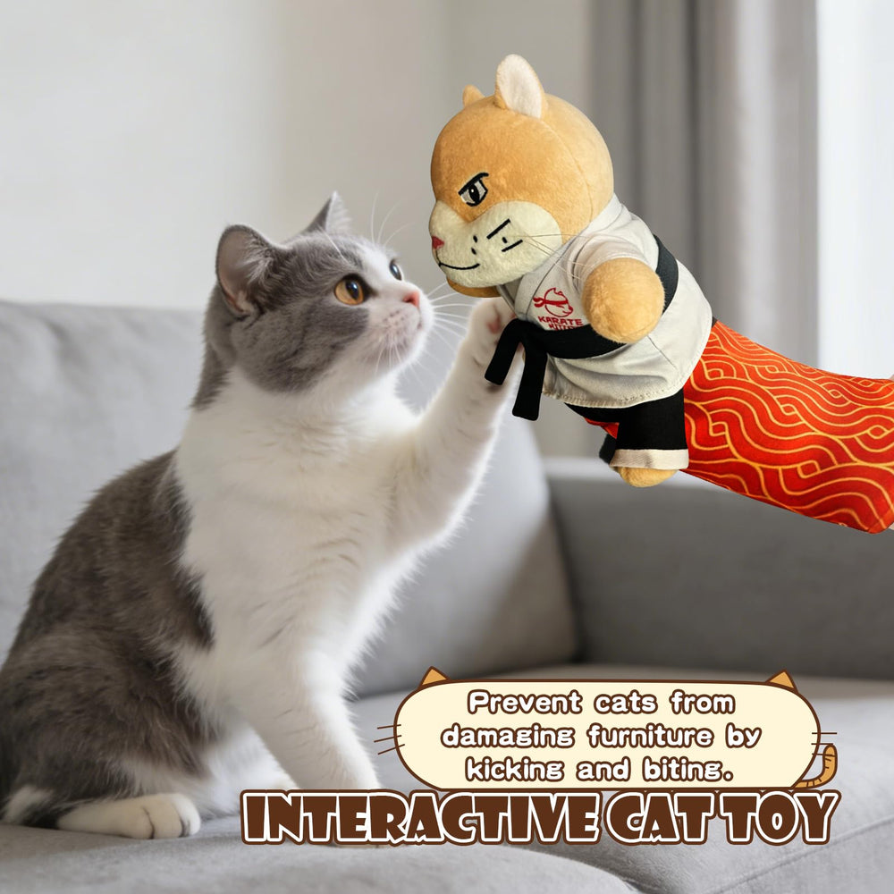 Fmnung cat wrestling puppet in action sparks bonding sessions.
