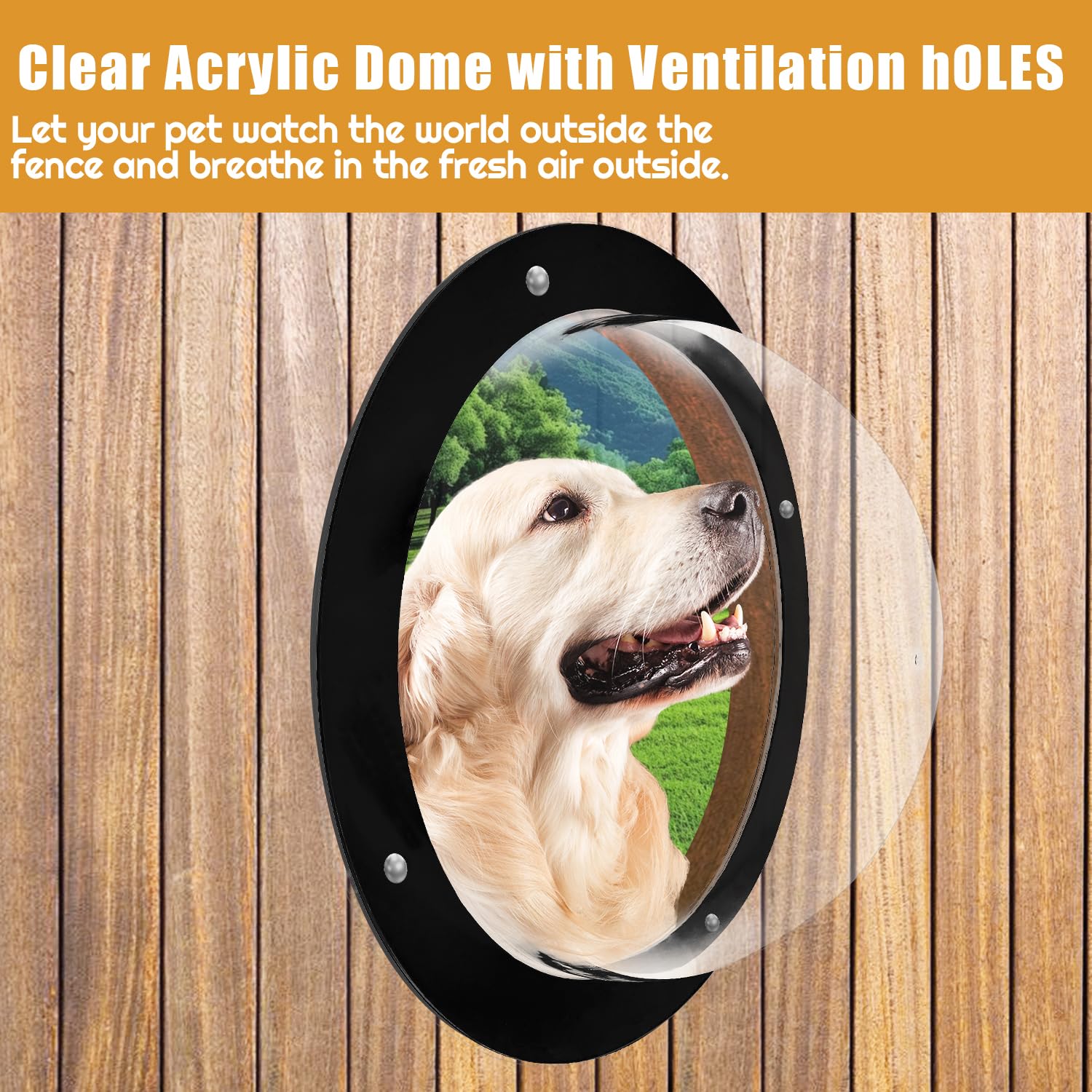 FMOACEN dome view window for pets provides calming visual stimulation during play