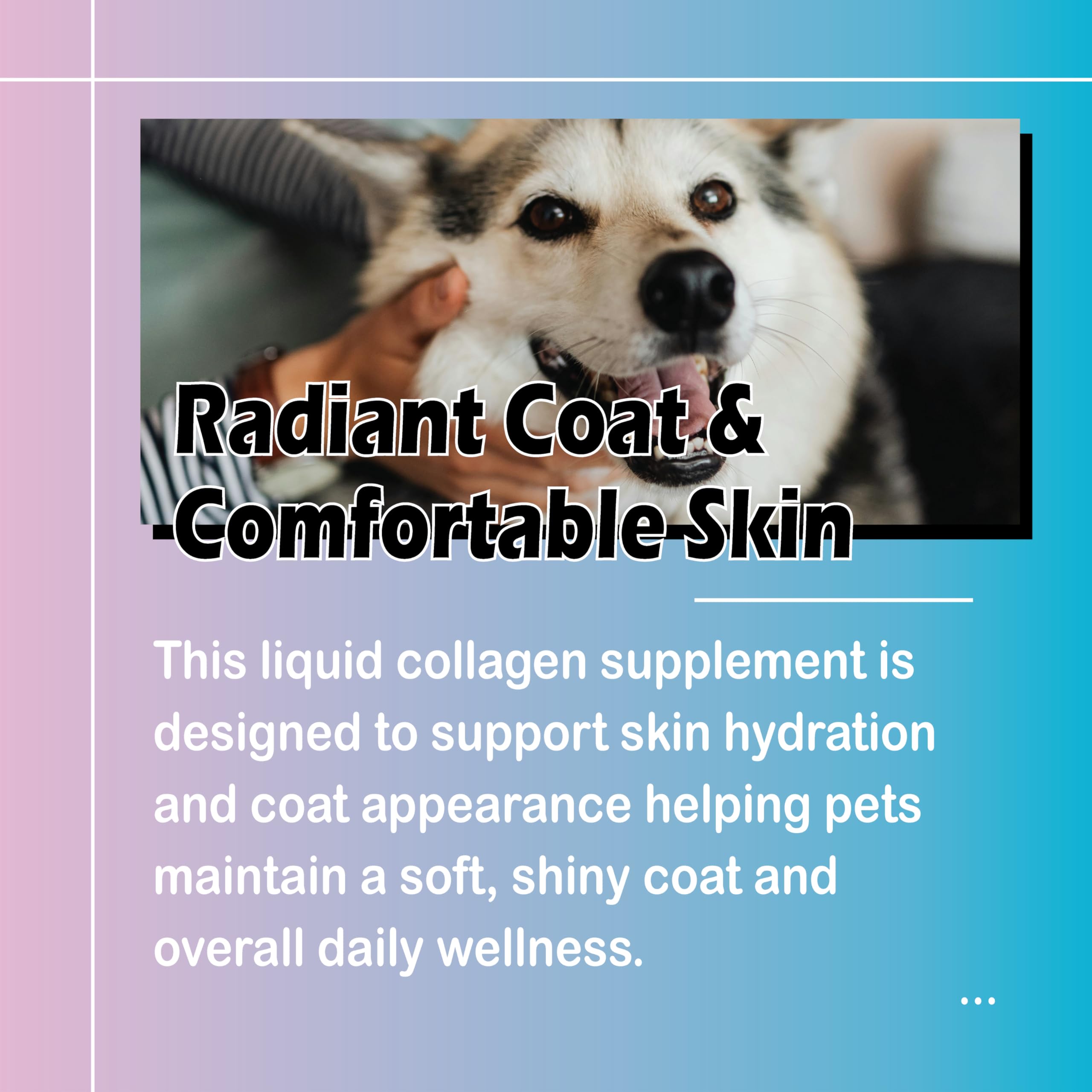 Healthy Petz drops support gut health as part of routine care.