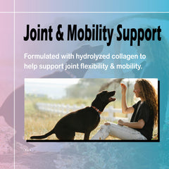 Healthy Petz drops may support joint comfort during activity.