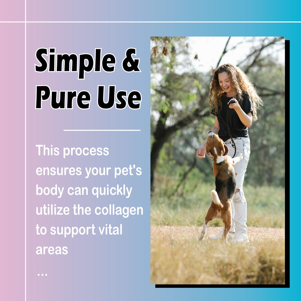 Healthy Petz drops provide simple daily care for dogs.