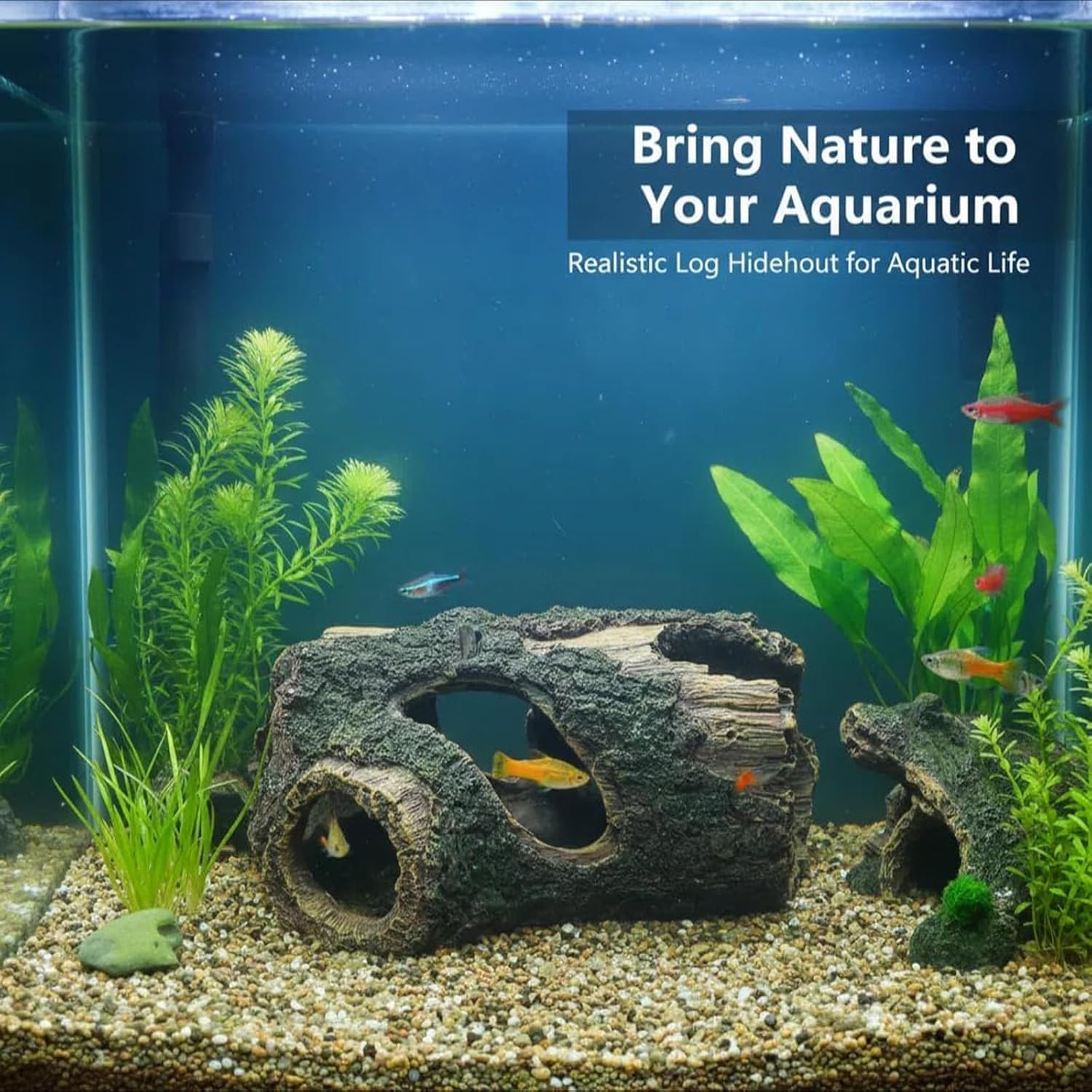 Fnaumdol resin trunk offers cozy hiding spots for bettas and small fish