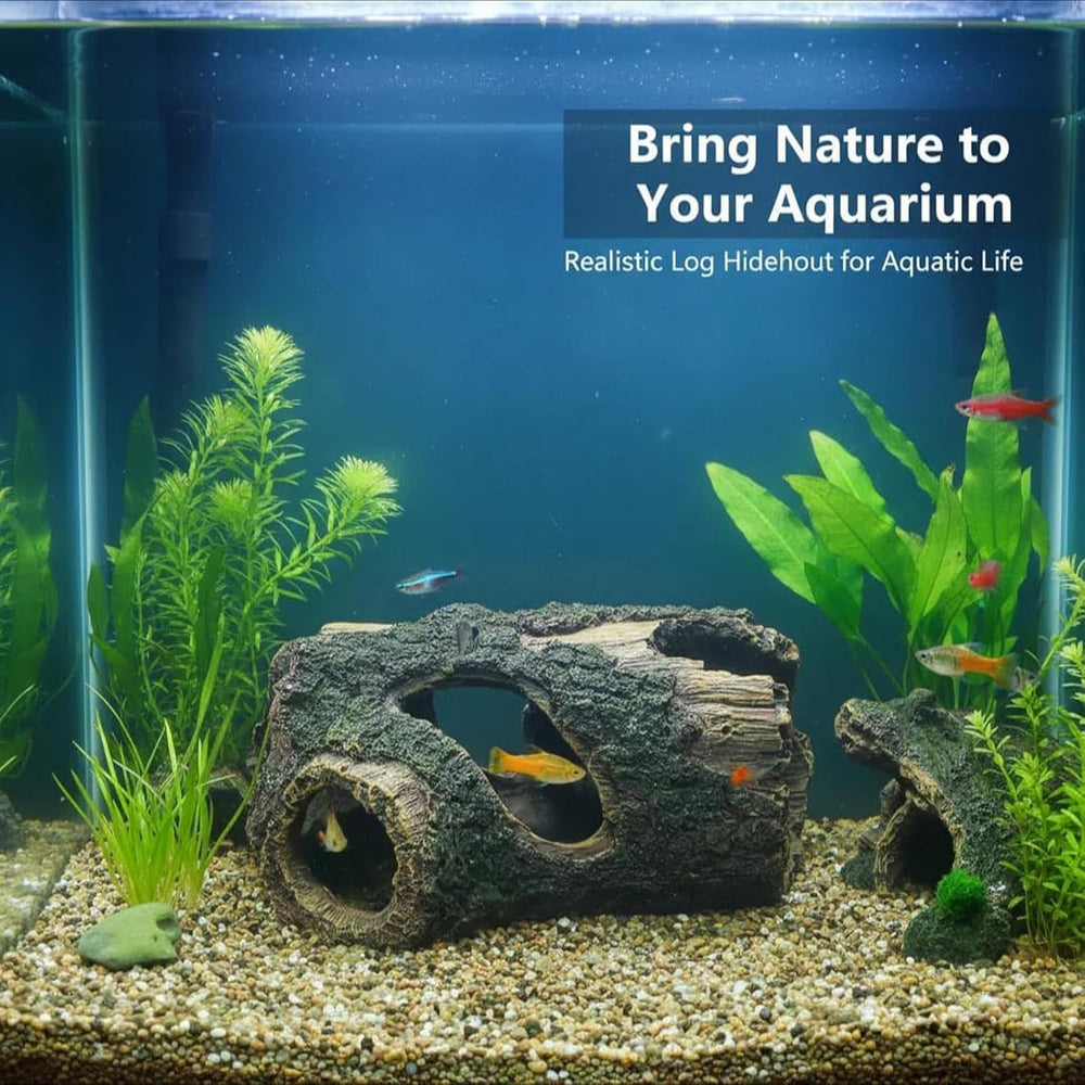 Fnaumdol resin trunk offers cozy hiding spots for bettas and small fish