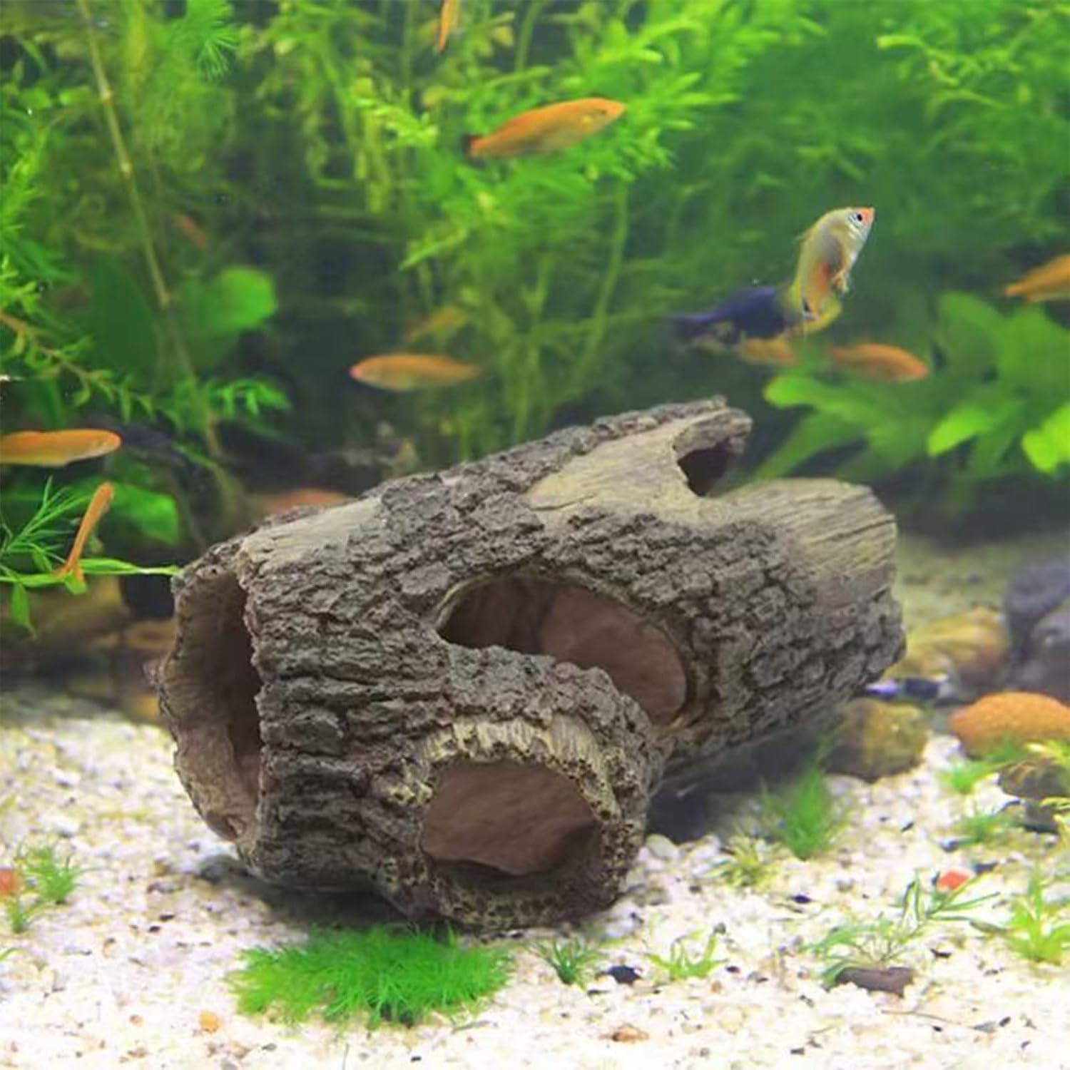 Large hollow tree trunk design fits many tanks and setups