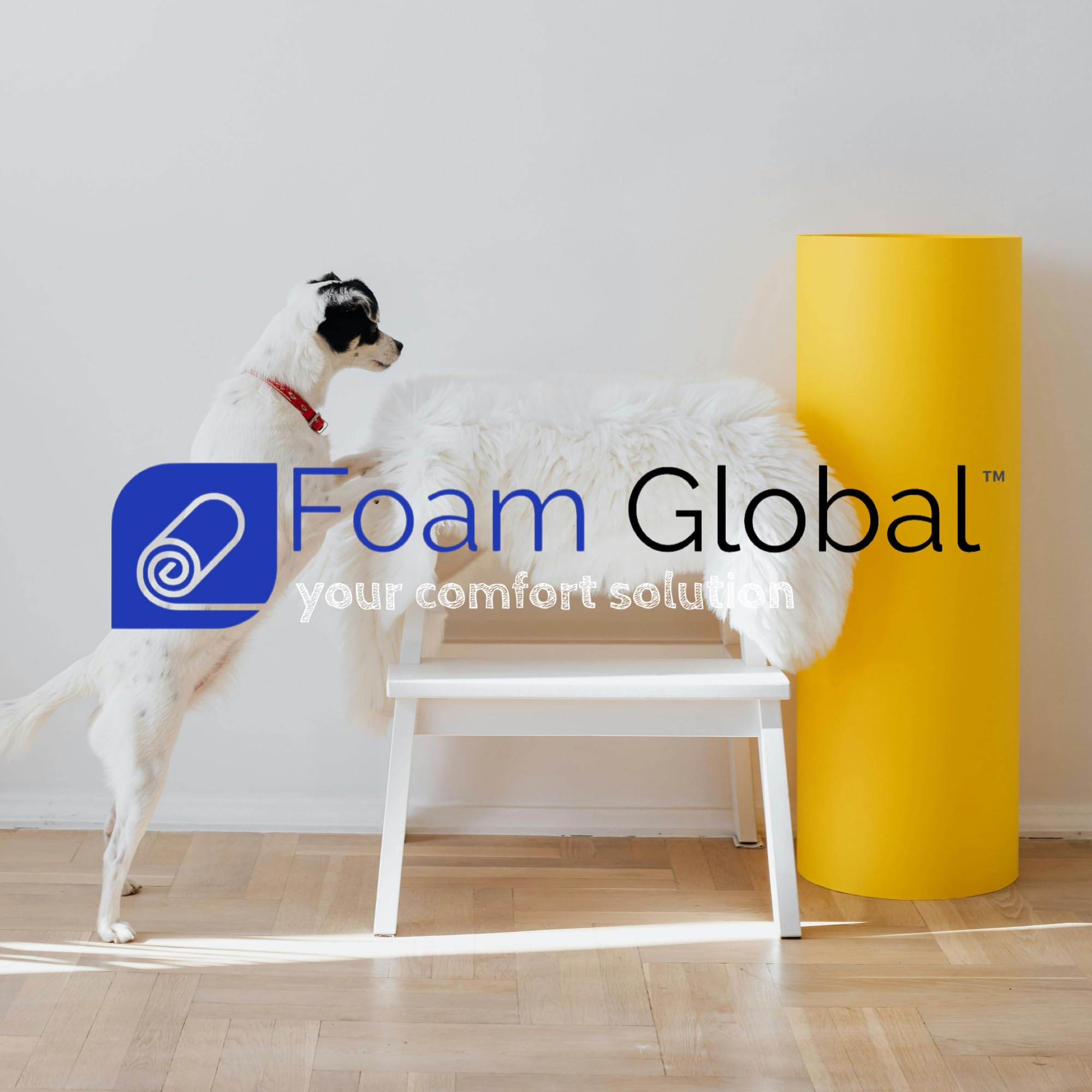 Foam Global pet bed pad with dimensions 3 by 26 by 34 inches