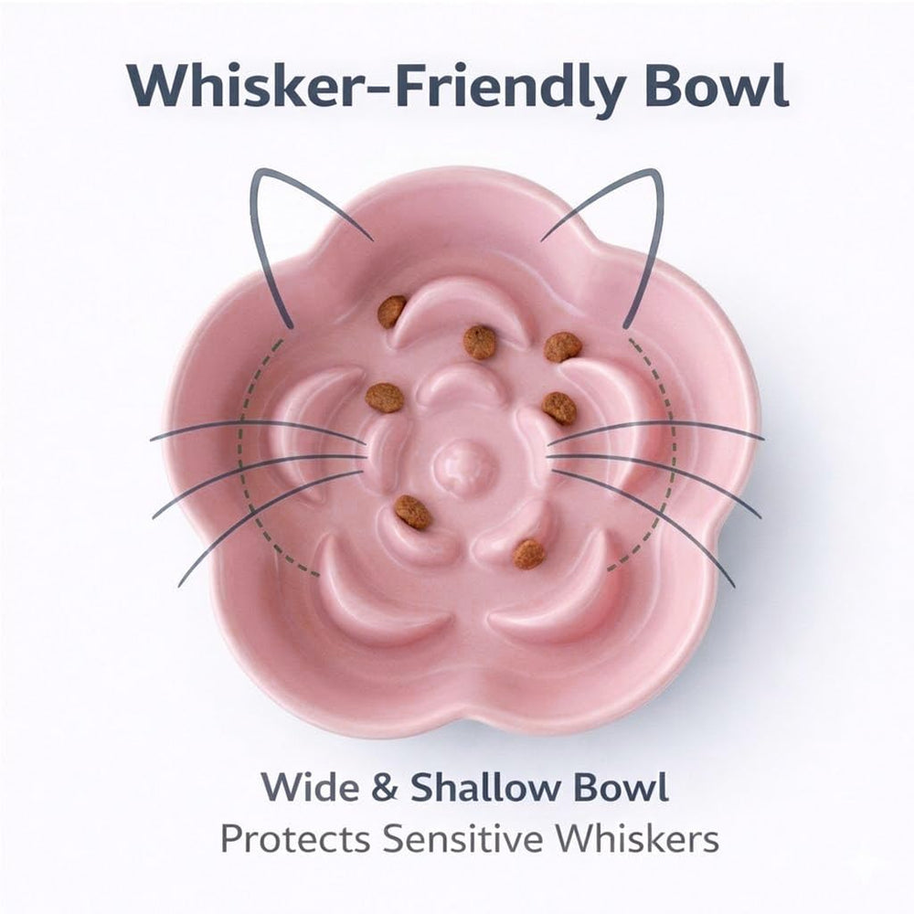 FOCPB pink front view reduces whisker contact