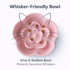 FOCPB pink front view reduces whisker contact