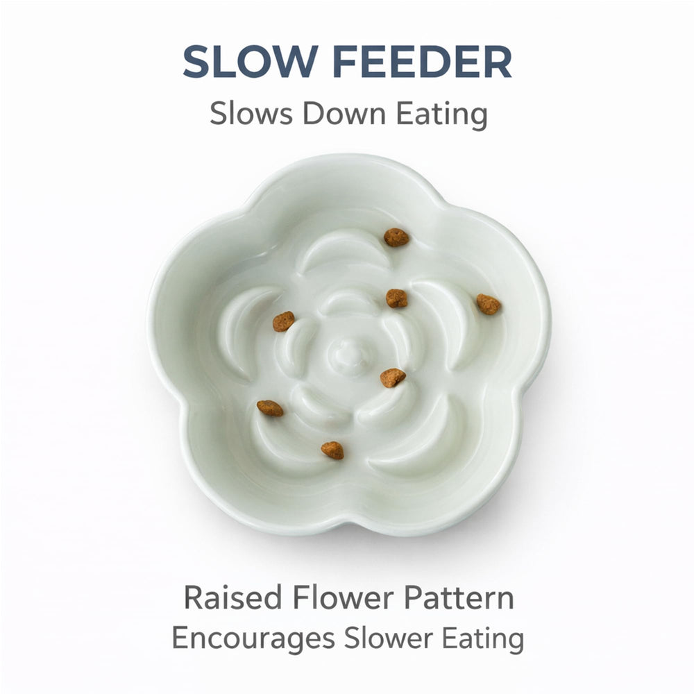 FOCPB smooth glazed ceramic finish is easy to clean after dry or wet food meals.