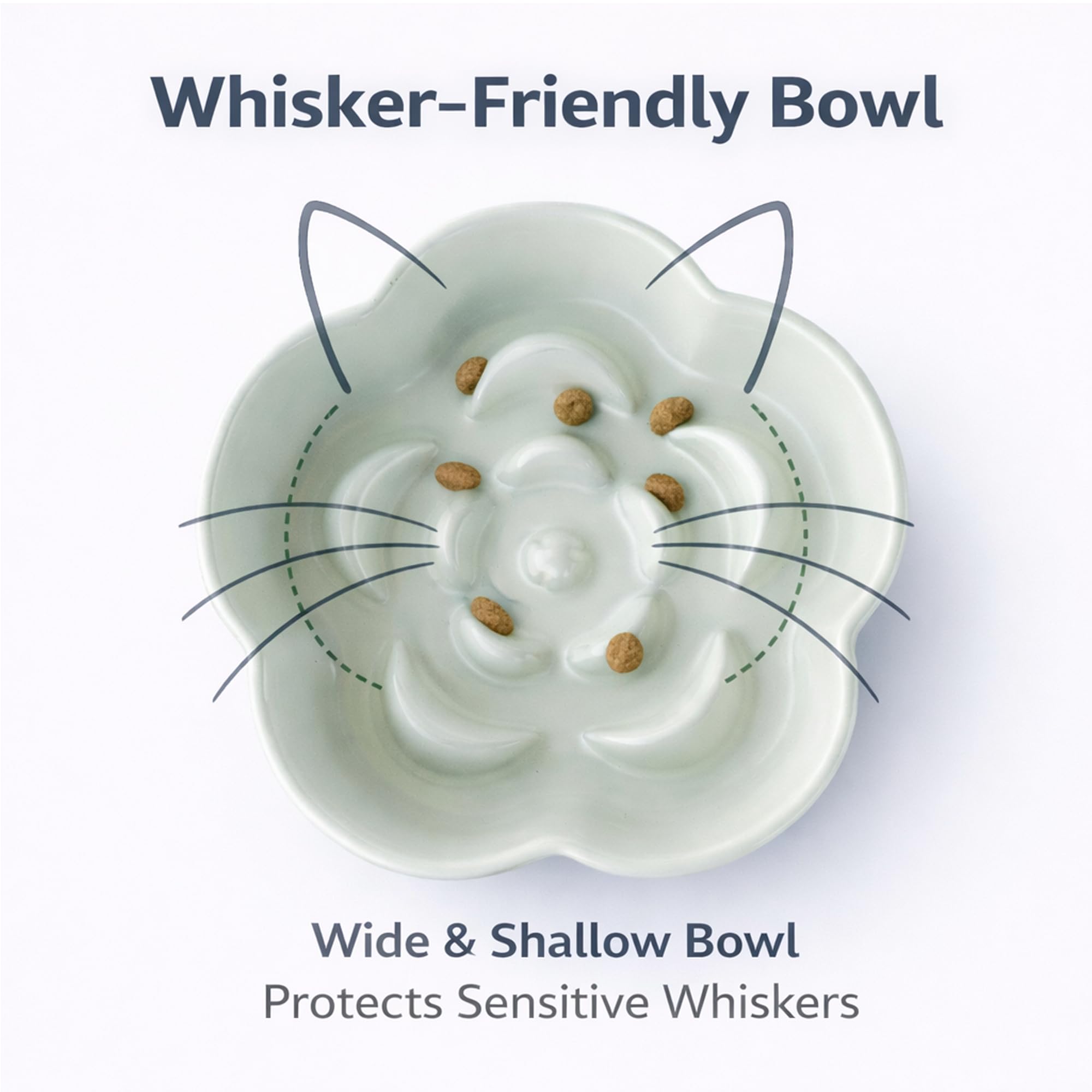 FOCPB weighted base stays steady during meals for tidier indoor feeding.
