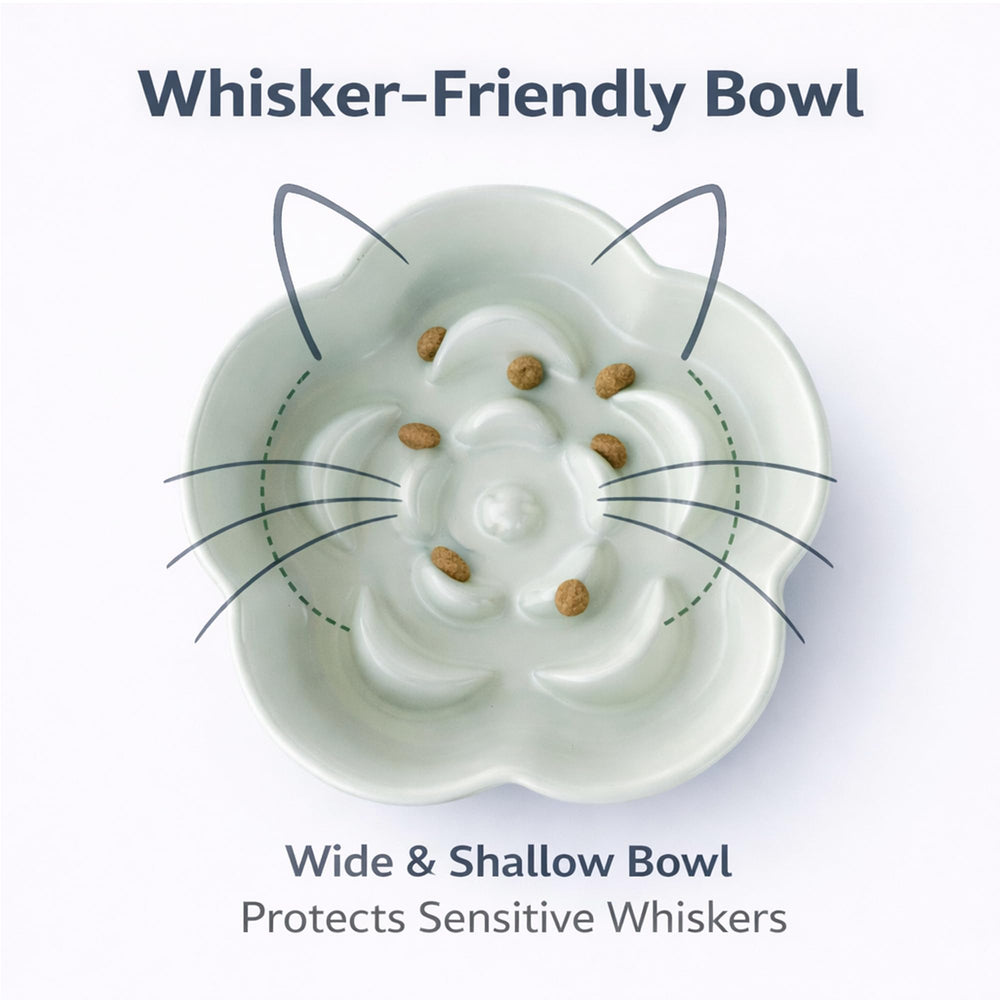 FOCPB weighted base stays steady during meals for tidier indoor feeding.