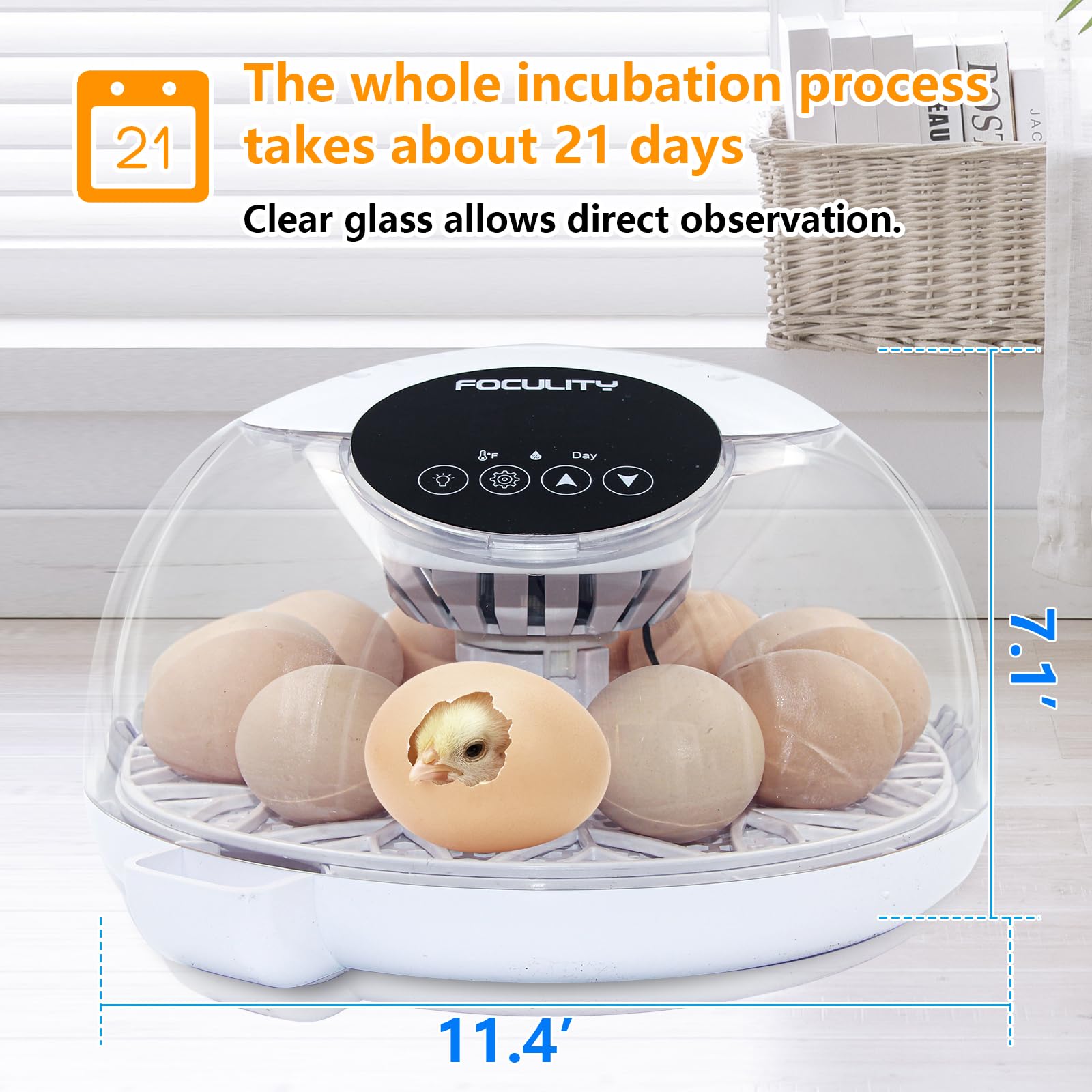 FOCULITY 12-egg capacity ideal for small home hatchery setups.