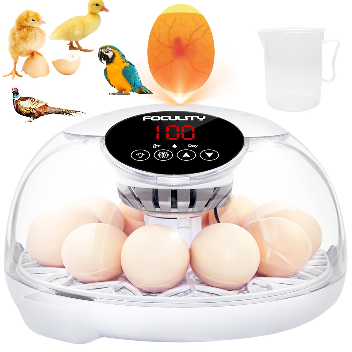 FOCULITY egg incubator with 360-degree cover for easy top candling and observation.