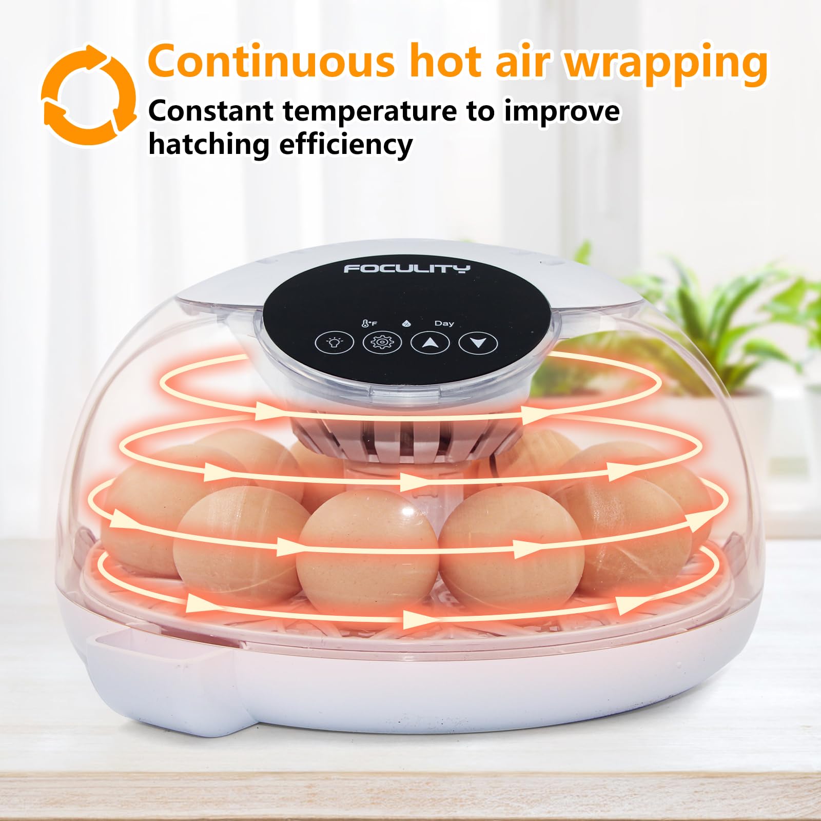 FOCULITY incubator showing automatic turning for even egg rotation.