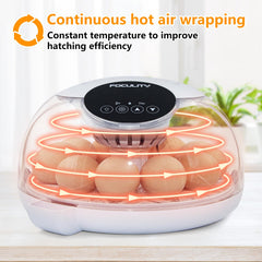 FOCULITY incubator showing automatic turning for even egg rotation.