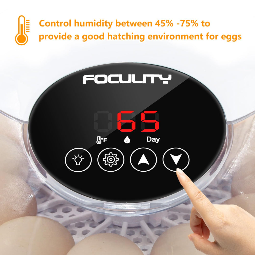 FOCULITY egg tray design supporting chicken, duck, and quail eggs securely.
