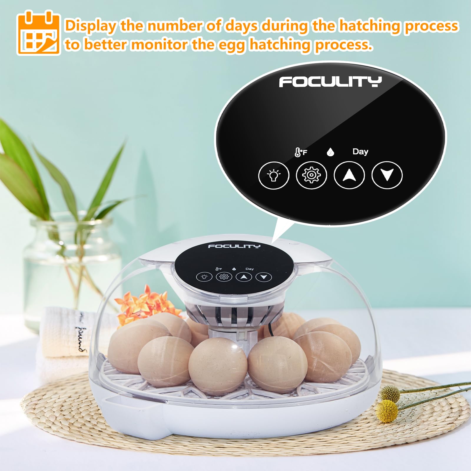 FOCULITY temperature display helps monitor daily incubation progress.