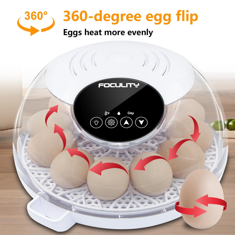 FOCULITY transparent lid provides clear visibility during incubation and hatching.