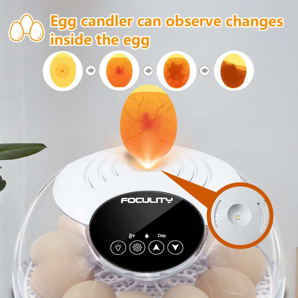FOCULITY external water injection keeps humidity stable throughout hatch.