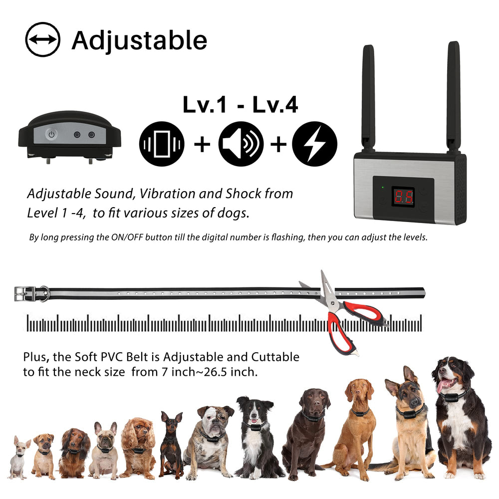 FOCUSER four-level correction adapts to different dogs