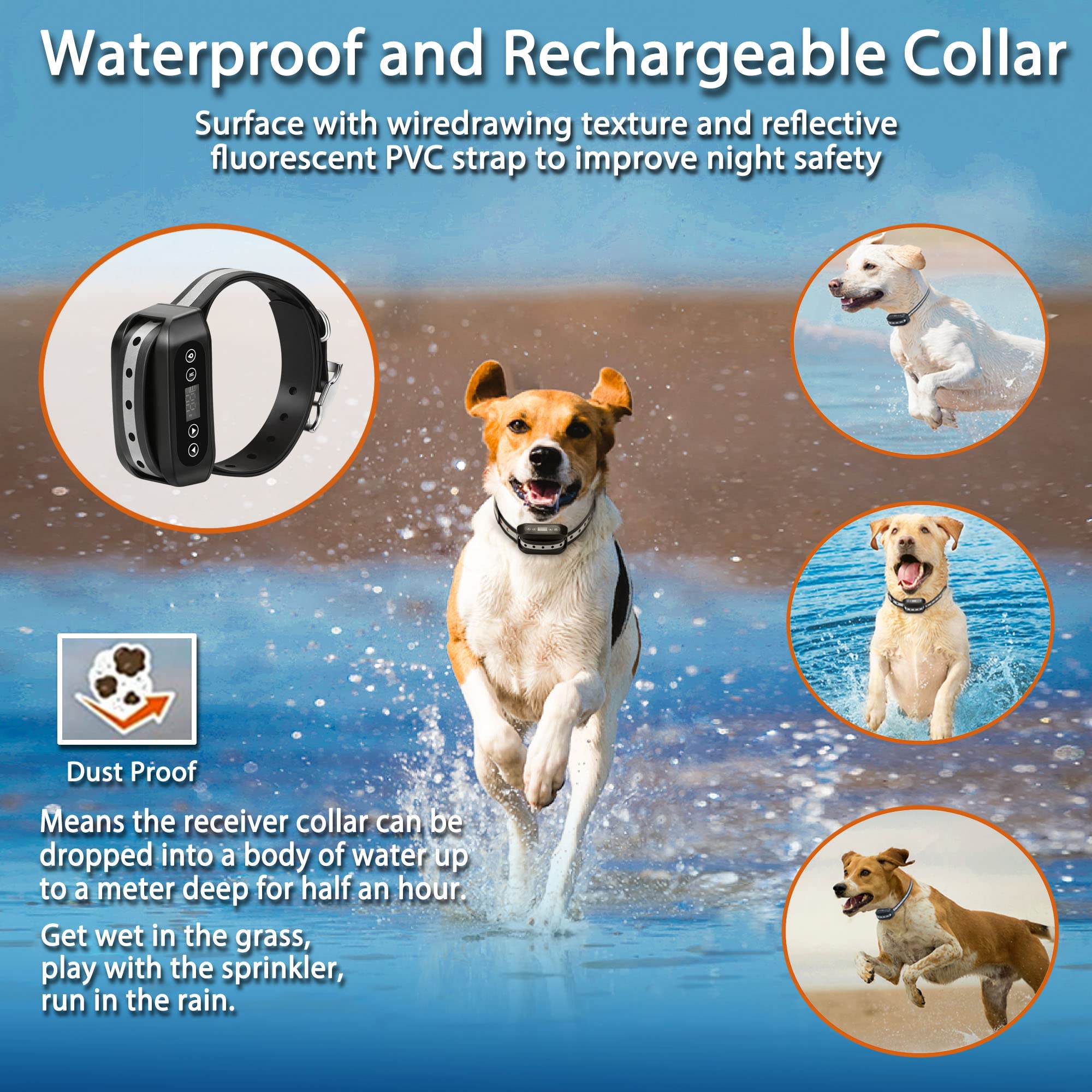FOCUSER GPS dogs playing in yard illustrating safe containment