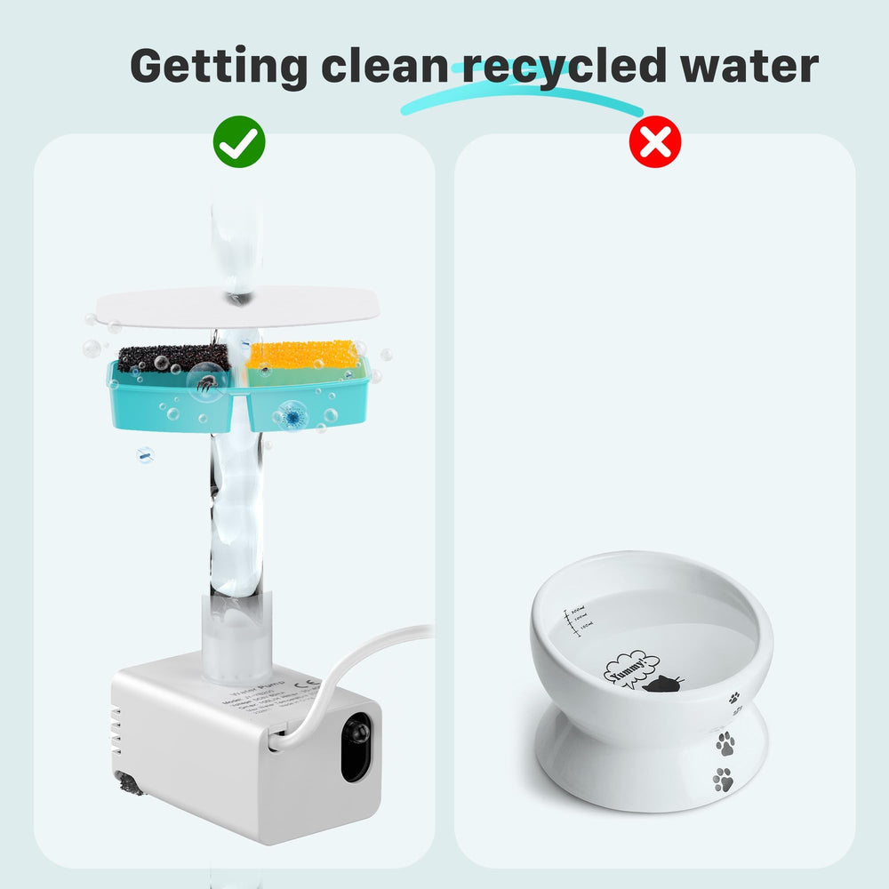 FOFNON 3.2L capacity fountain suits households needing longer use between refills.