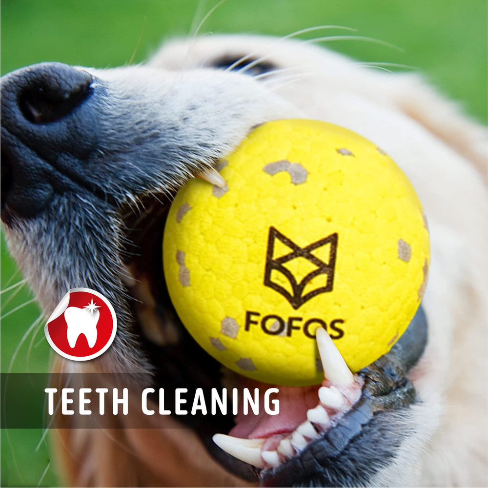 FOFOS ball for large and medium dogs robust chew toy.