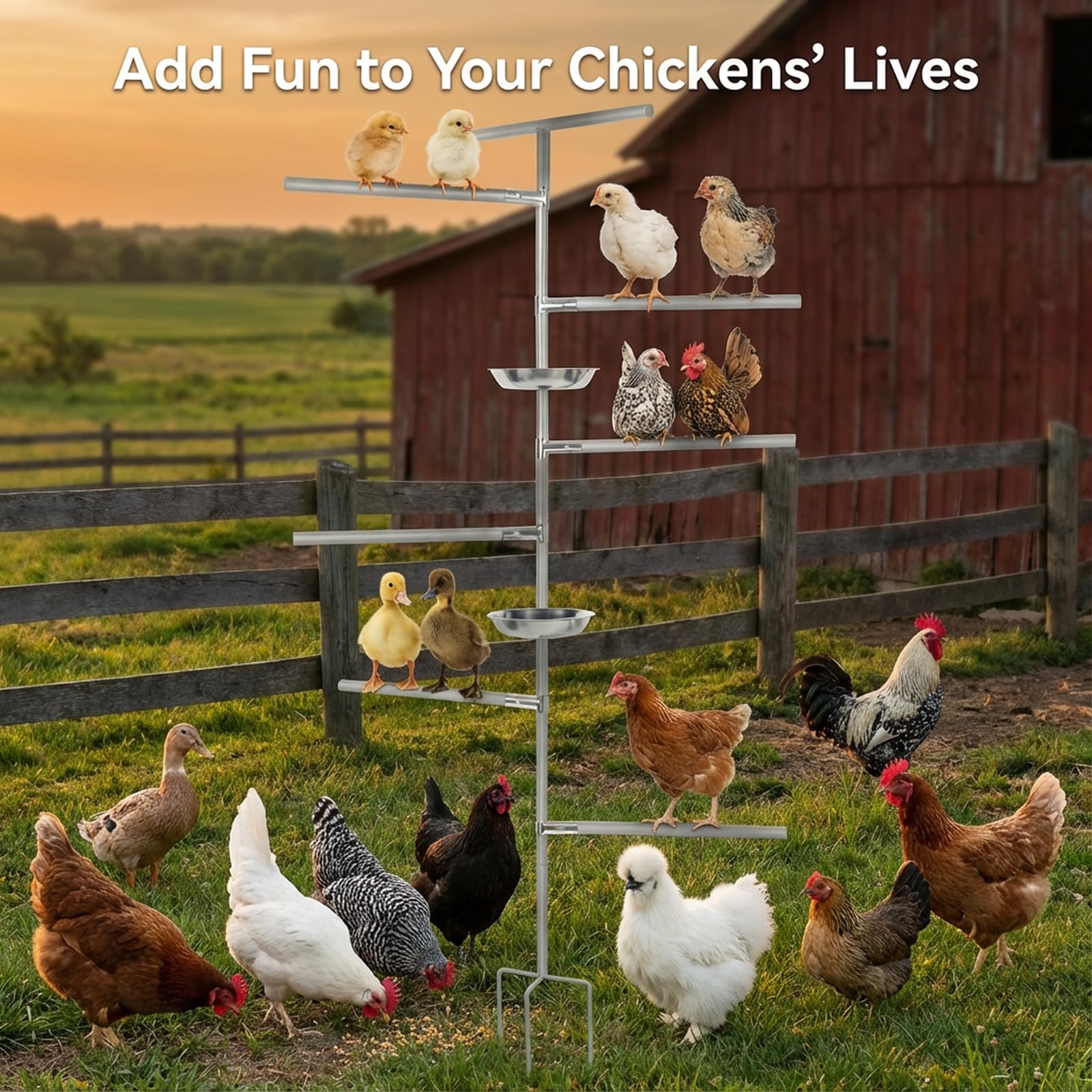 Fogein chicken perch setup fits small coops and aviaries with ease.