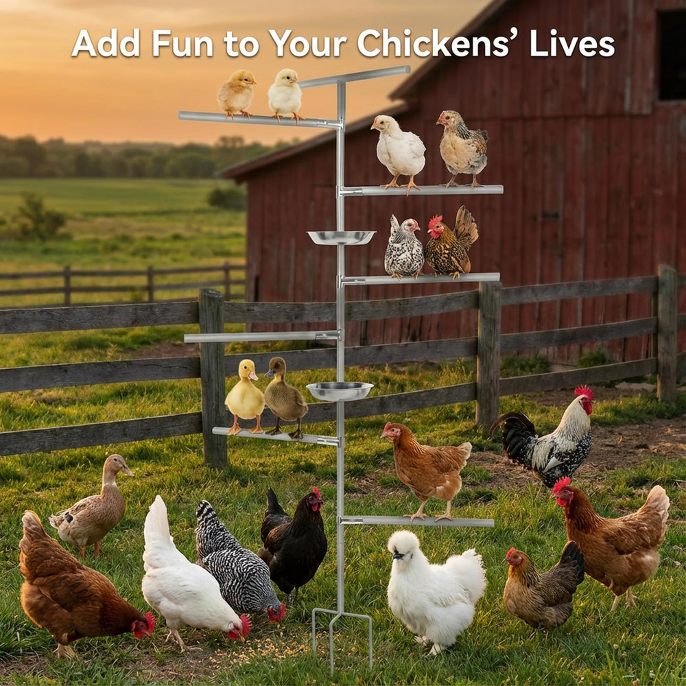 Fogein chicken perch setup fits small coops and aviaries with ease.
