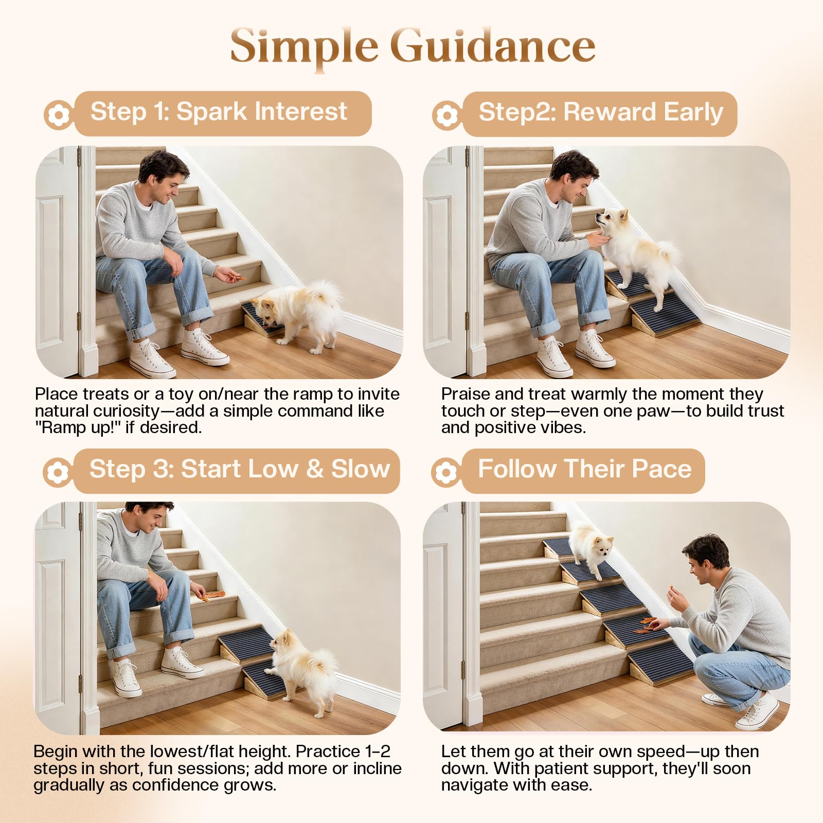 FolifrPets stable screw fixation reduces wobble on stairs