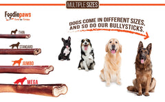 FOODIEPAWS bully sticks close-up showing dense texture and length.