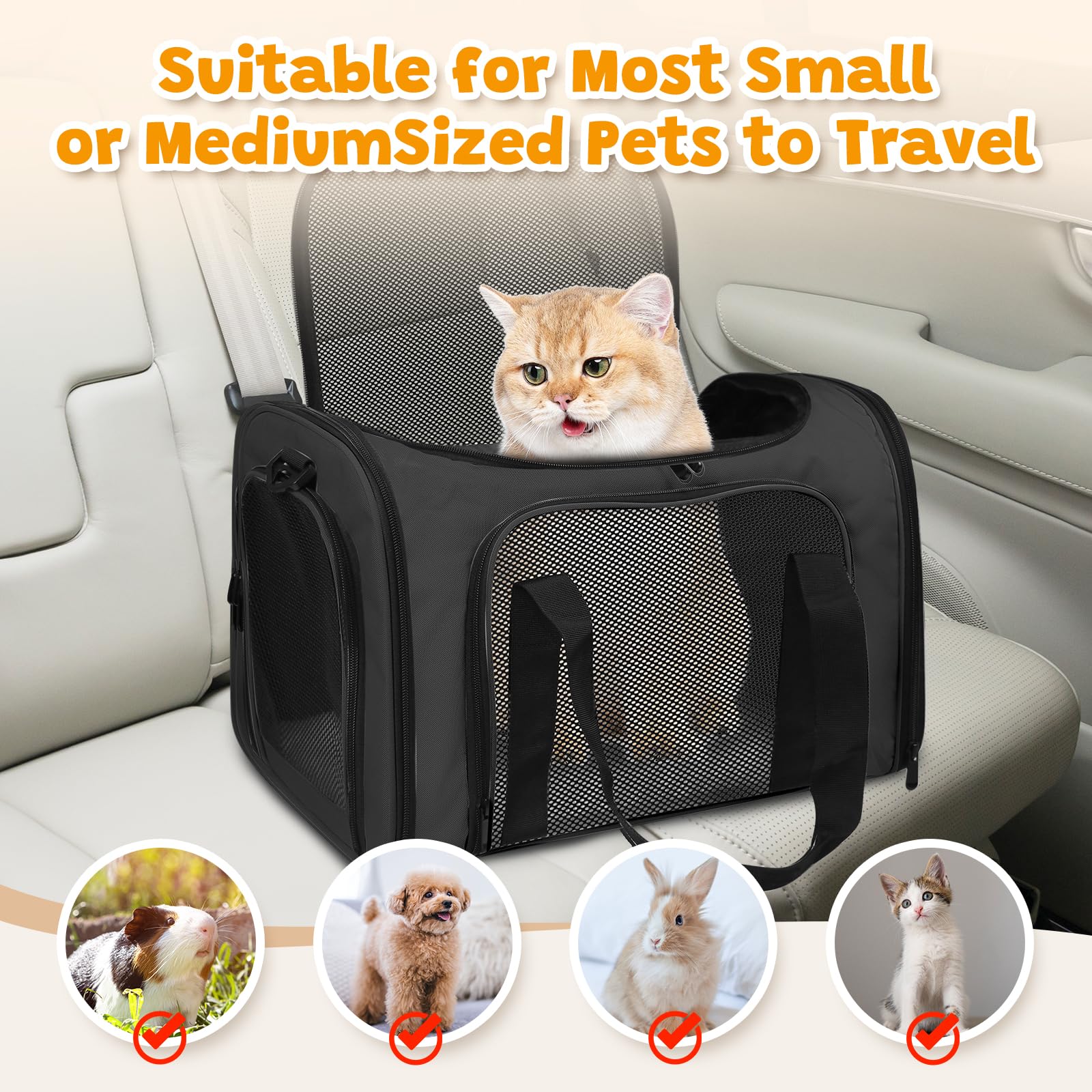 FOORLON cat carrier soft durable polyester with reinforced seams for longevity.