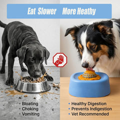 Foosunzy blue slow feeder bowl for wet food, promotes interactive licking.