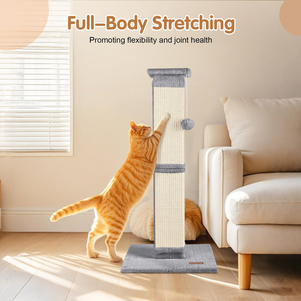 Fopetfy durable post for active cats, encouraging daily play and exercise.